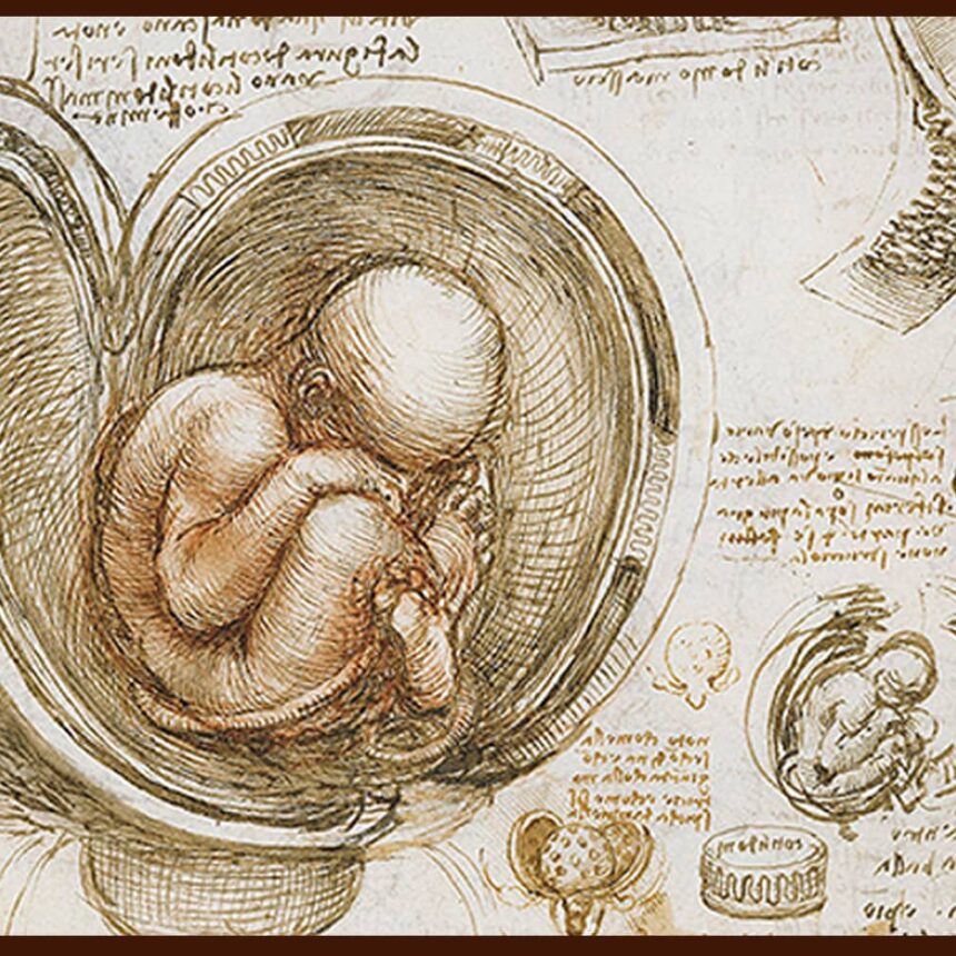 Studies of a Fetus in the Womb