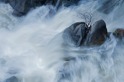 Dsc0149 Standing Firm2