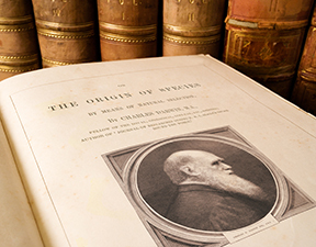 Elkerdi Inside Image May2025