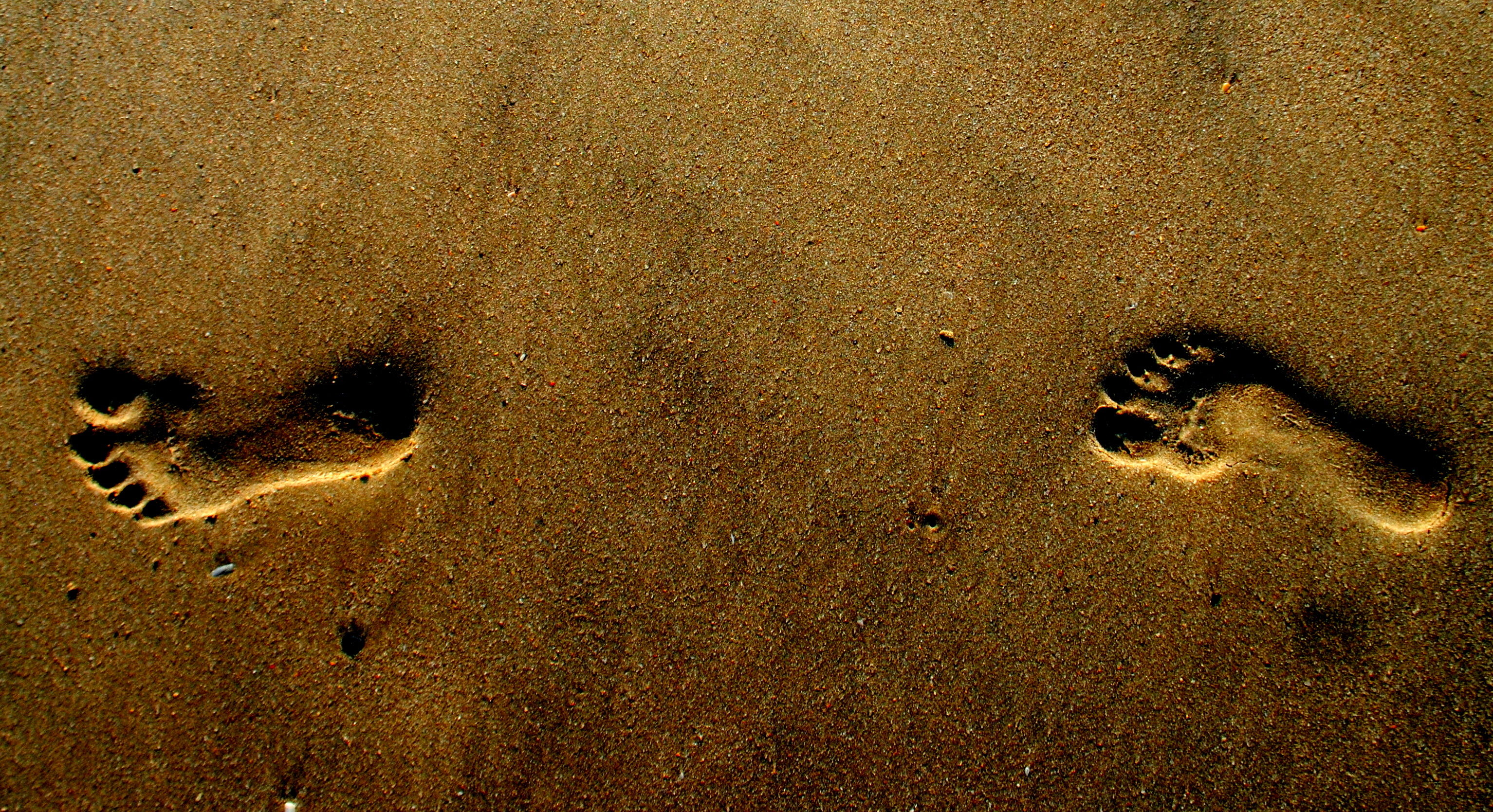 Foot Steps at Beach