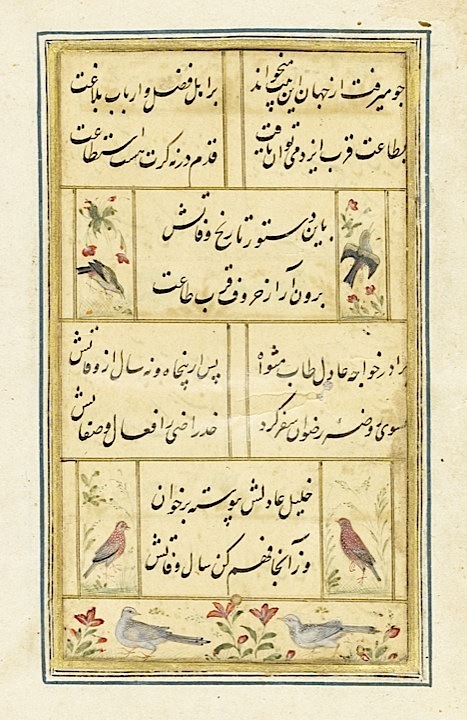 Hafezbirds