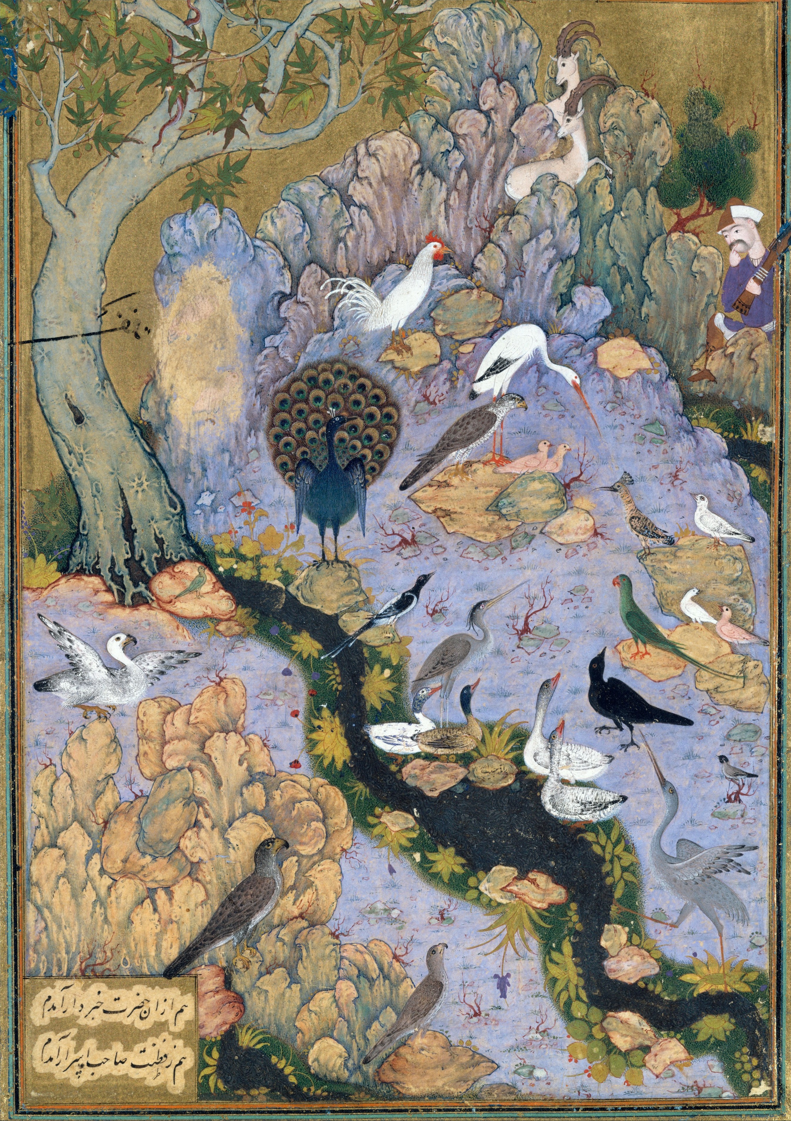 A folio from an illustrated manuscript of The Conference of the Birds, Habiballah of Sava, c. 1600