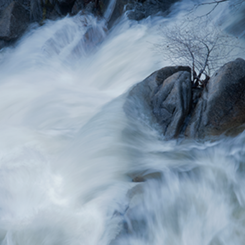 Dsc0149 Standing Firm2