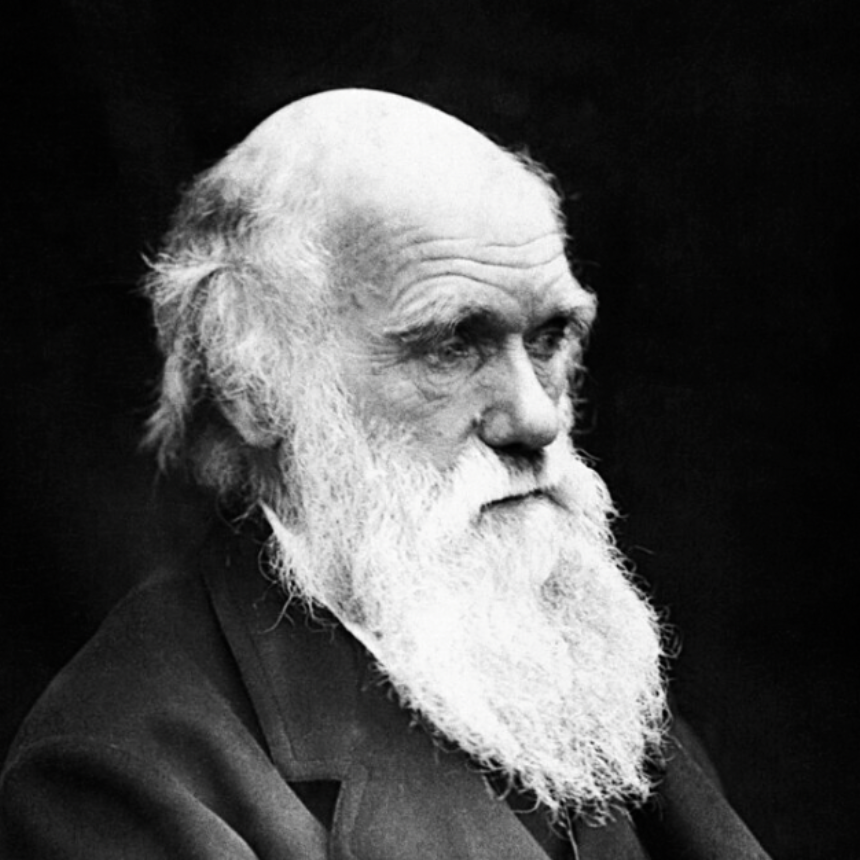 Screenshot 2025 11 14 At 6 19 47 Pm